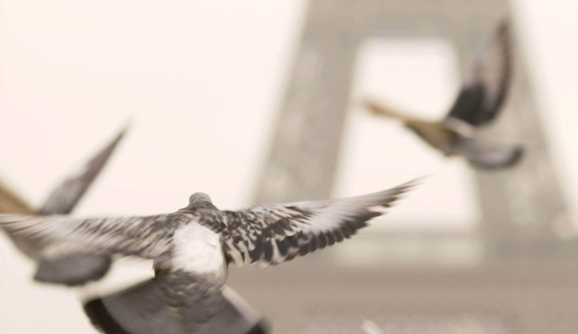 At Last, a Publisher for “Line of Flight”